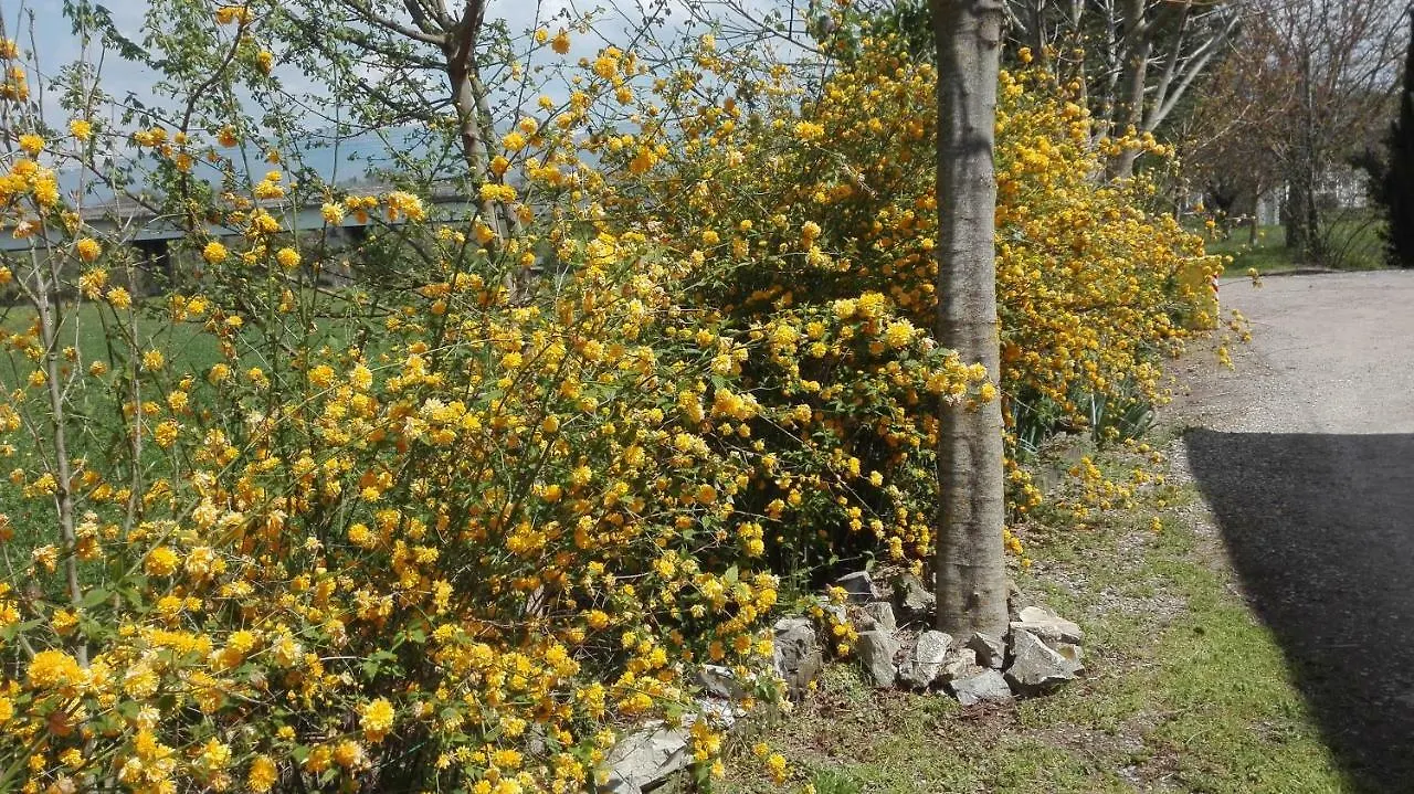 Κατάλυμα σε φάρμα Agriturismo La Ripa Βίλα Reggello Ιταλία